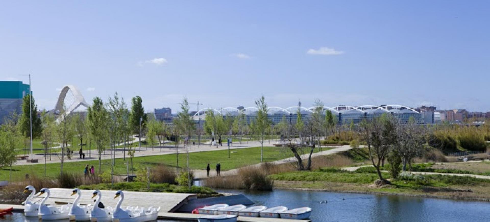 cisnes_parquemetropolitano_tda.jpeg