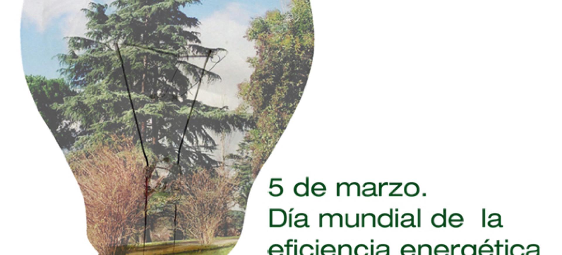 dia-mundial-eficiencia_energetica.jpeg
