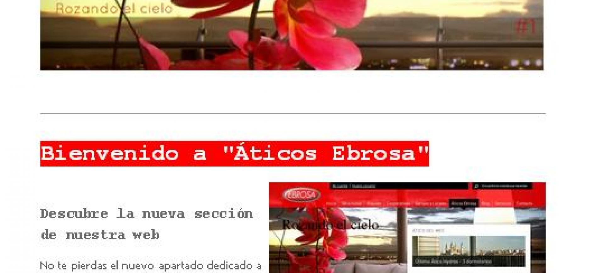 fragmento_newsletter_1_aticos_ebrosa.jpeg
