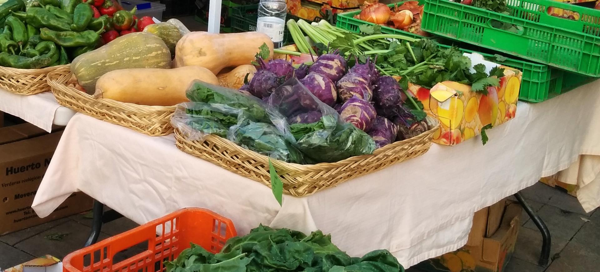 fruteroporundia.jpeg