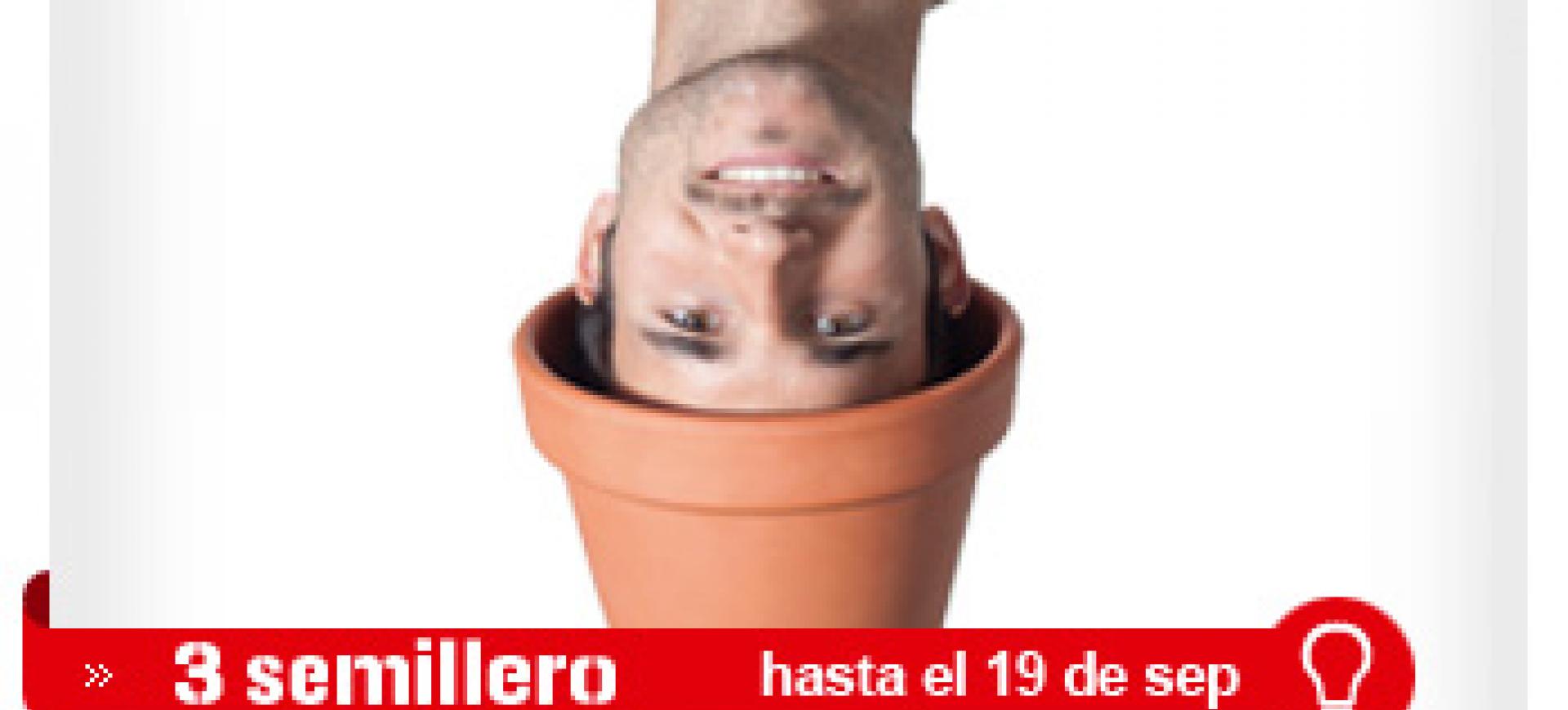 semilleroideaszgz.jpeg