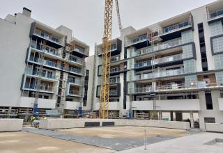 Avance de obra T-VRÉX